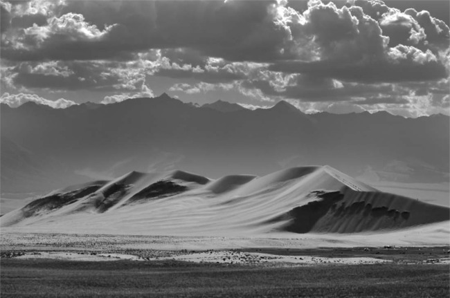 dunesy1