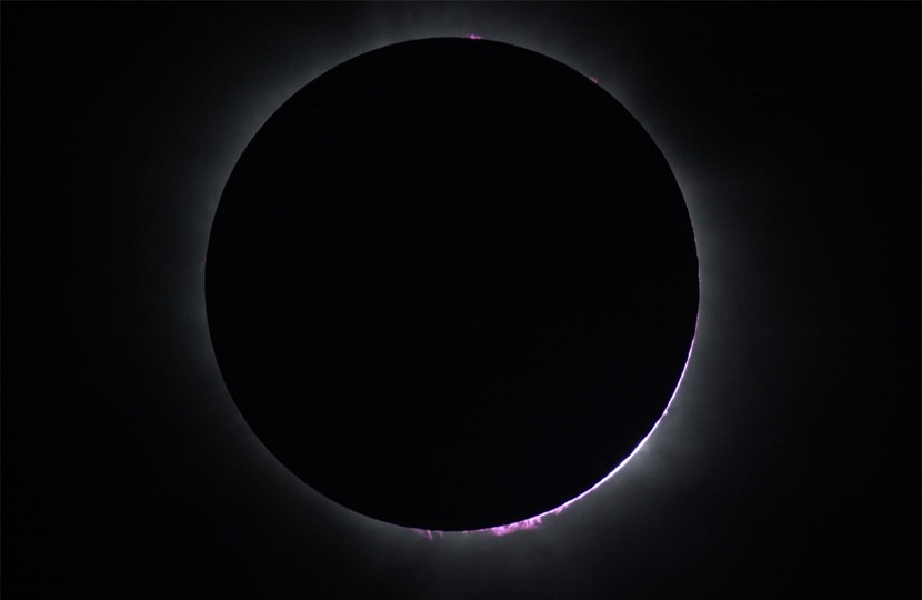 fdtotality2s