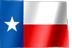 texasflag