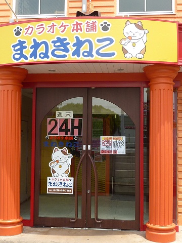 catkaraoke1