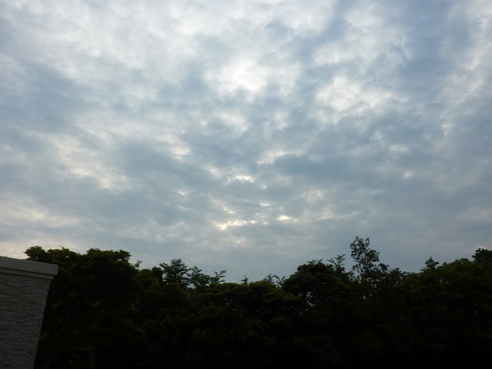 sky1
