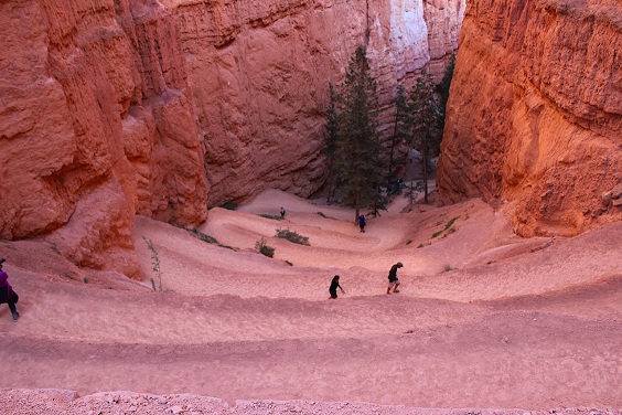 yamada9 (19)_navajoloop1