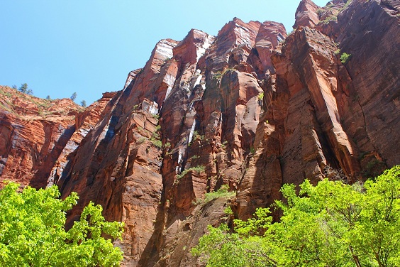 yamada9 (2)zion1