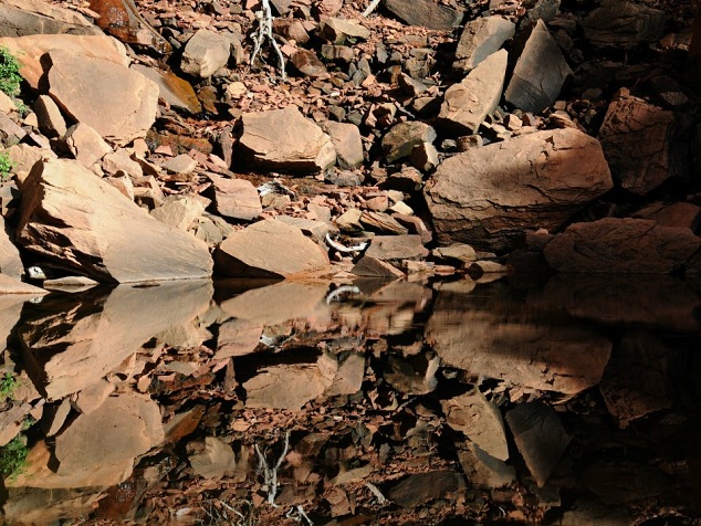 zion_huibregtse6a