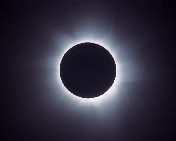 solar-eclipse-cruise-2016-img001FIX3HGuertinforMaley.jpg (614×492)